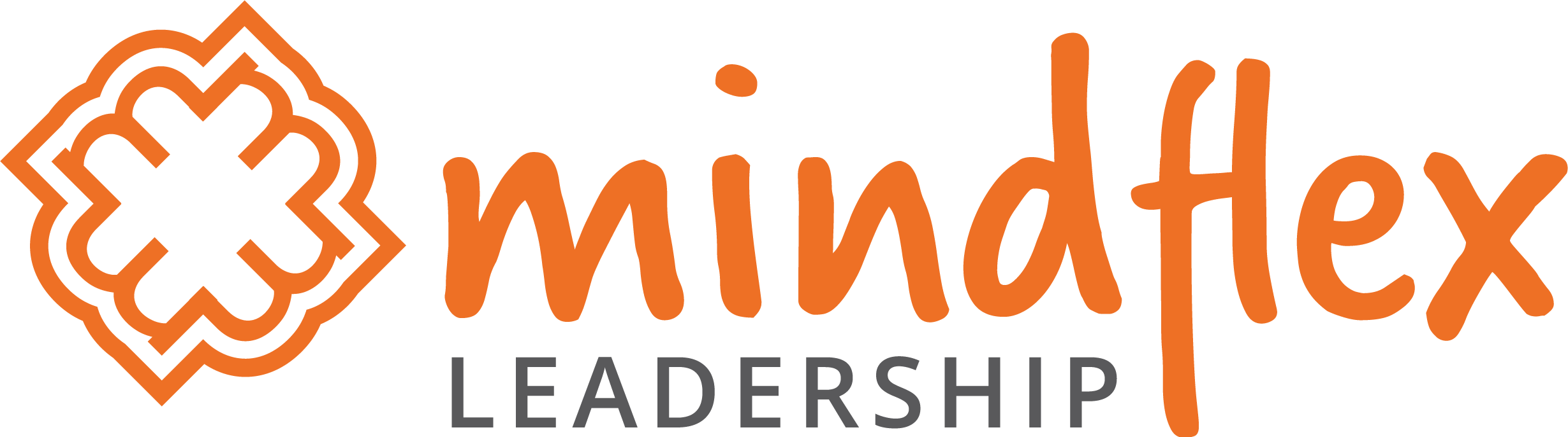 Mindflex Leadership partners in Tailored Leadership Programmes